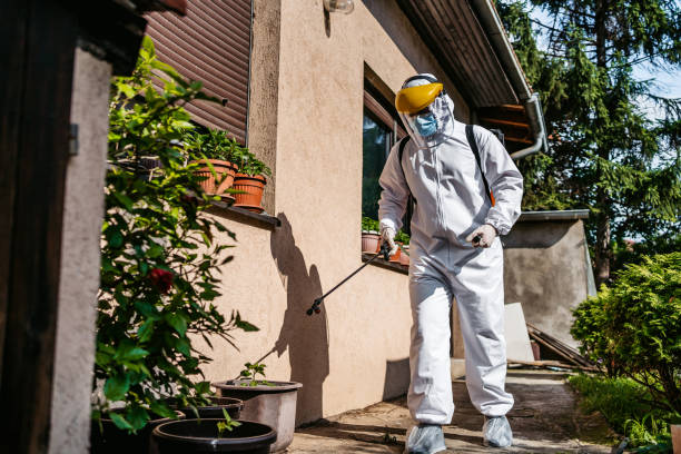 Best Residential Pest Control  in Woodland, WA