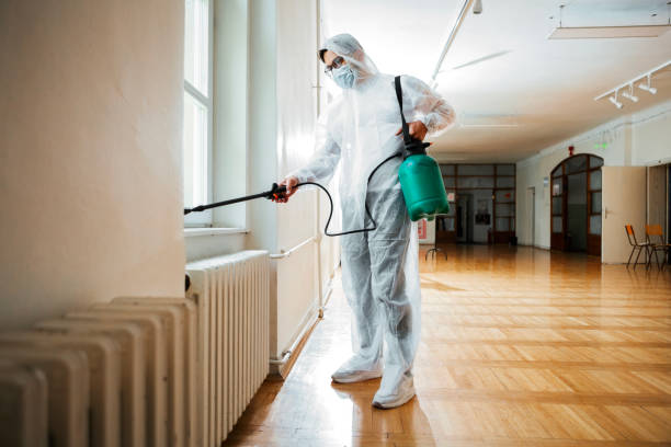 Trusted Woodland, WA Pest Control Experts