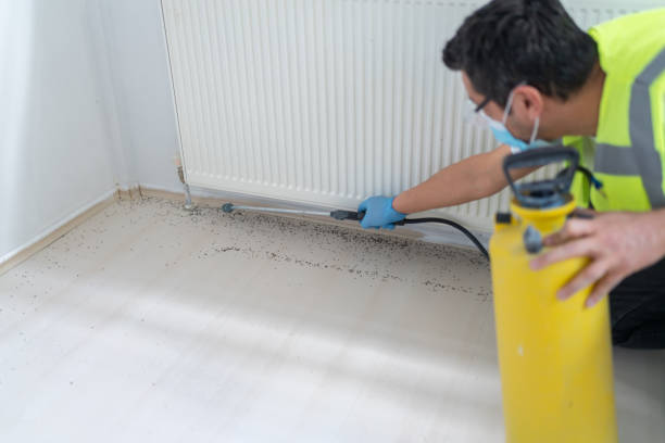 Best Commercial Pest Control Services  in Woodland, WA