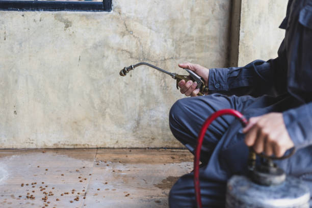 Best Termite Control Services  in Woodland, WA